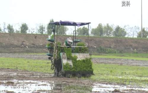  科技赋能训练升级，智能设备助力体能突破